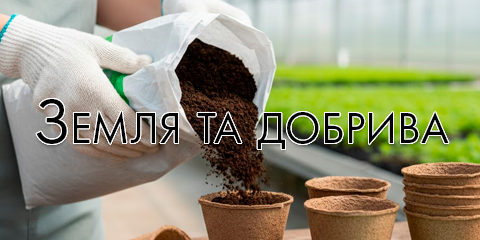 Banner from design